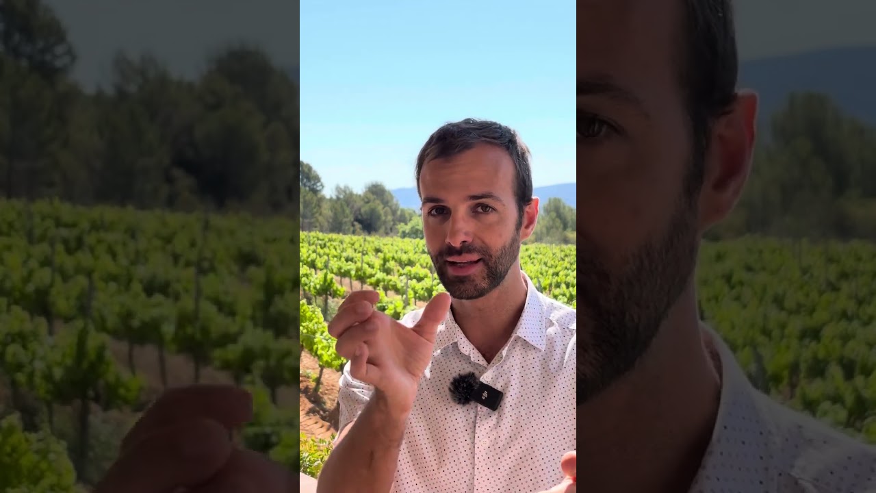 estoy de baja y quiero que me despidan