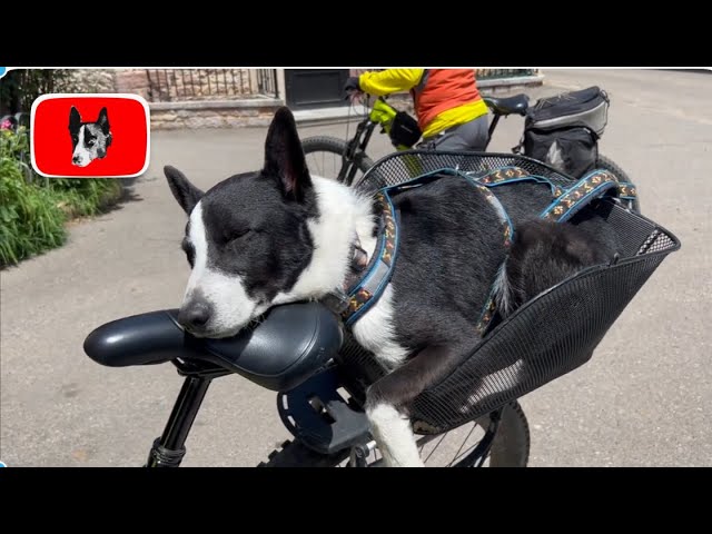 parque natural de babia y luna