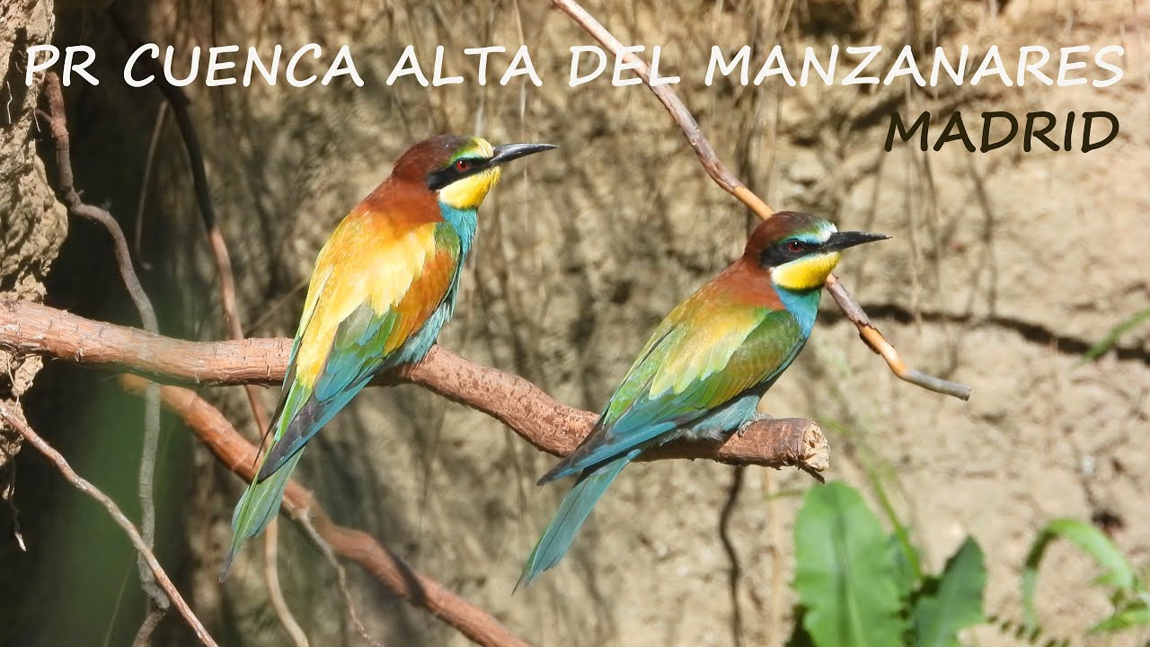 parque regional de la cuenca alta del