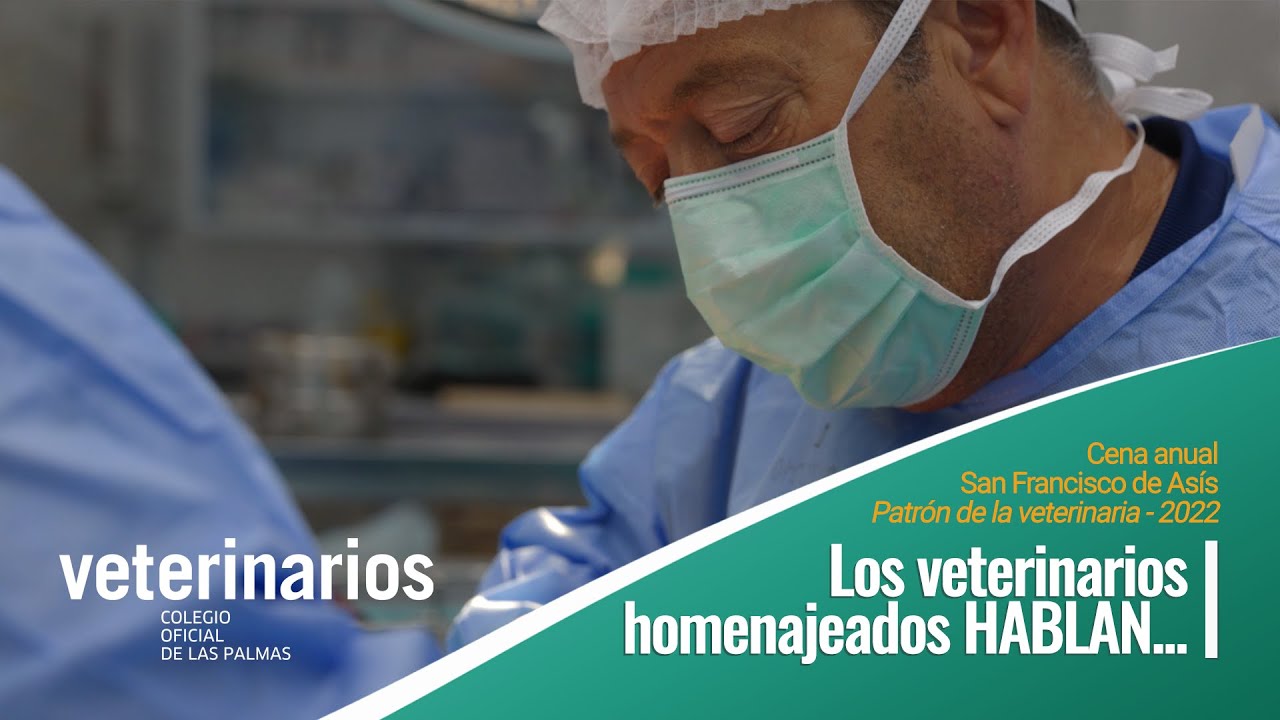 colegio de veterinarios de las palmas