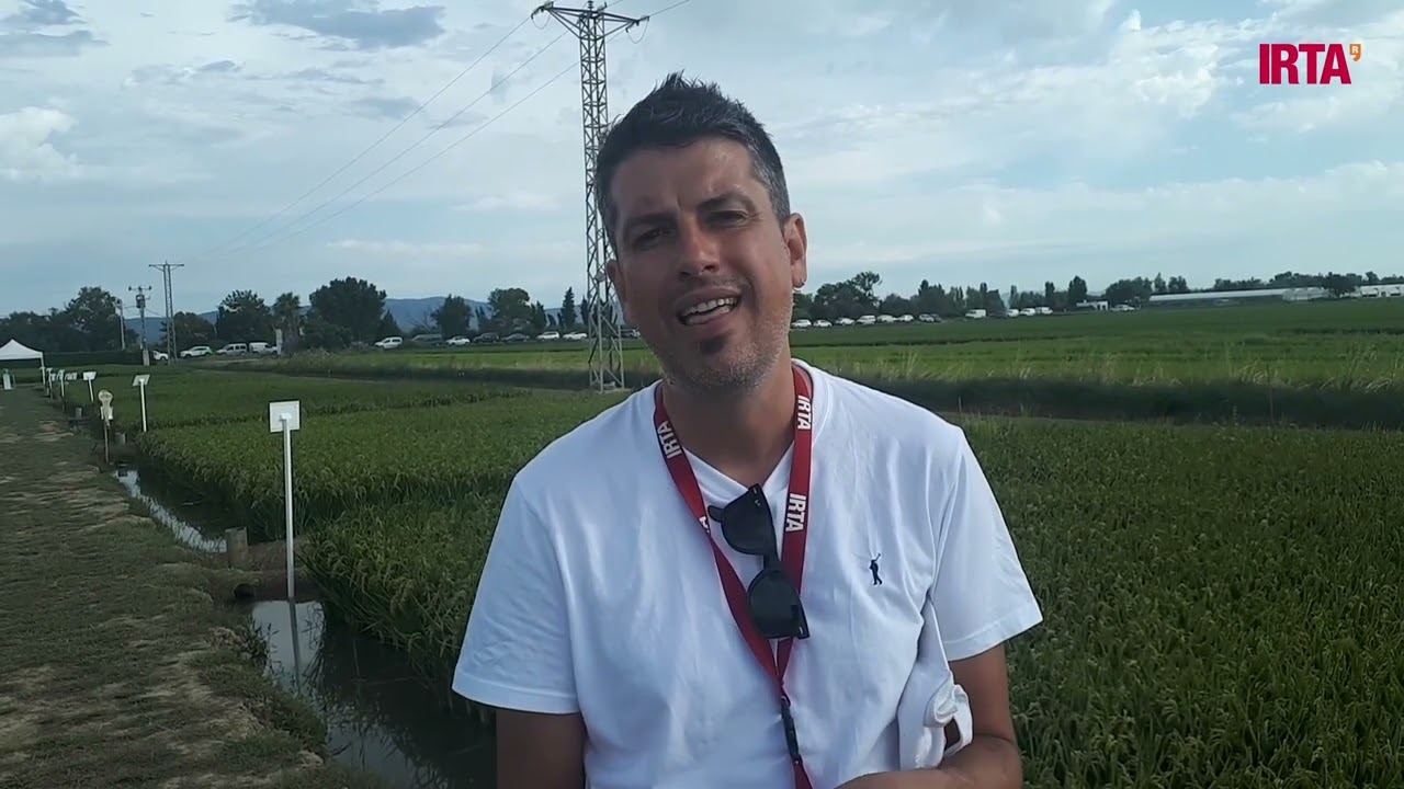 departamento de acción climática alimentación y agenda rural