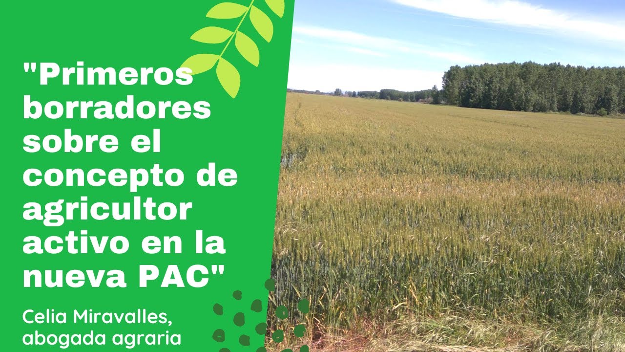 agricultor con incumplimiento de la figura de agricultor activo.