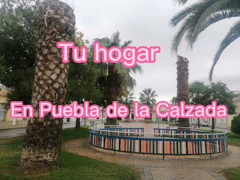 casas en puebla de la calzada