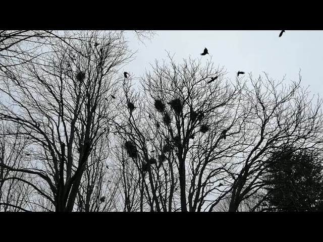 centro de salud la bañeza i