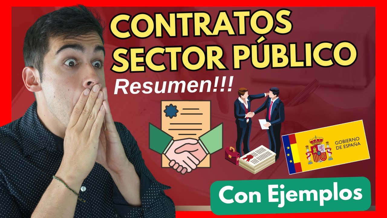 lei de contratos do sector público