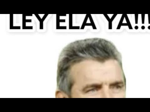 ley ela cuando entra en vigor