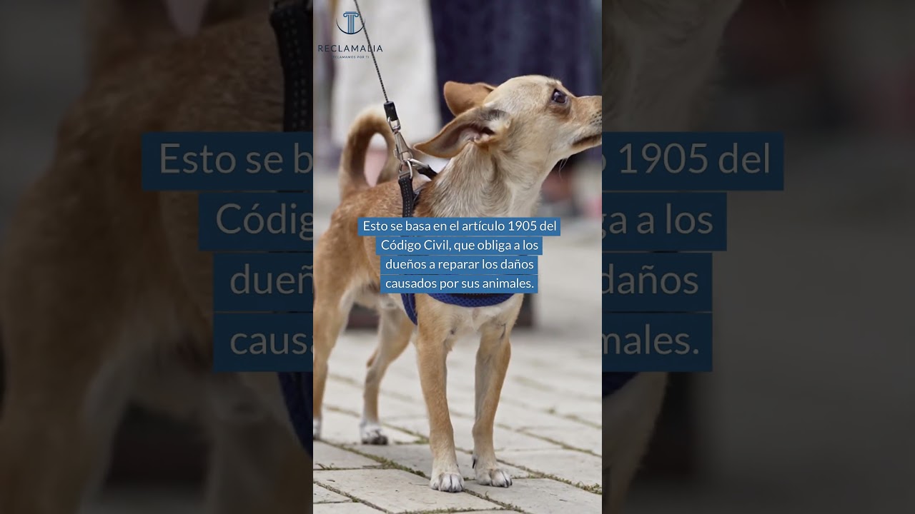 nueva ley de trafico sobre atropello de animales