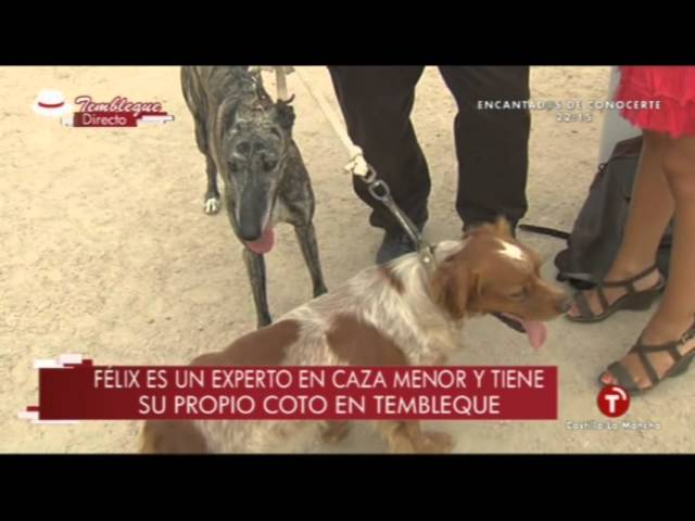 coto de caza castilla la mancha