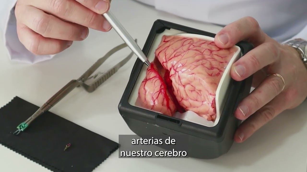 grado de discapacidad por aneurisma cerebral
