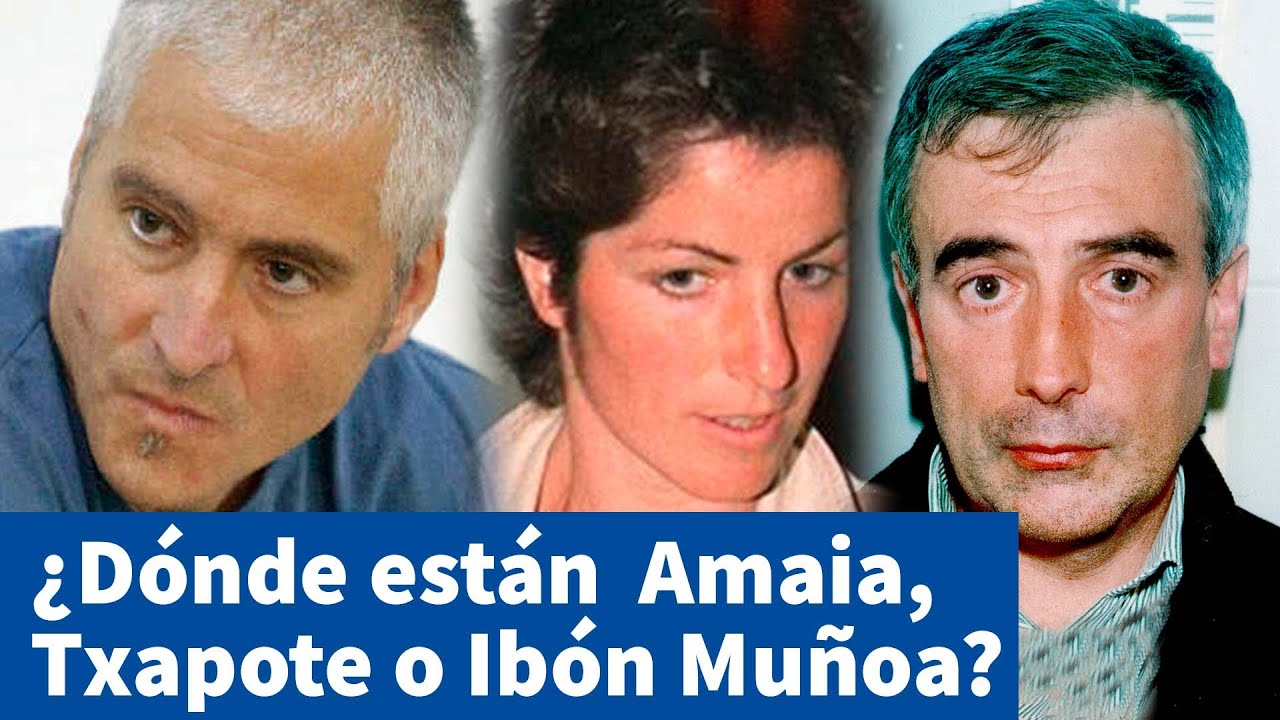 quien mato a miguel angel blanco