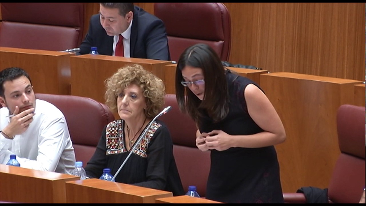 ayuda a domicilio junta castilla y león