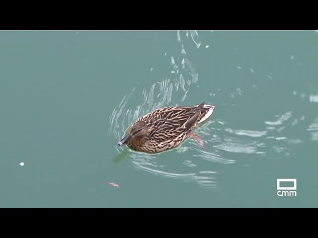 farmacia de torre mutxamel 365 días