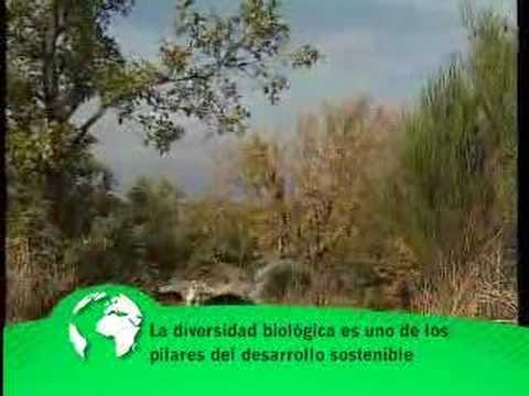 ley de patrimonio natural y de la biodiversidad