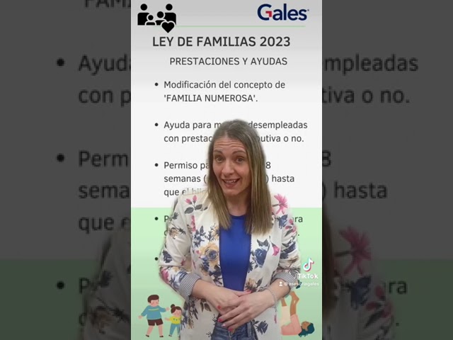 nueva ley de familias cuando entra en vigor