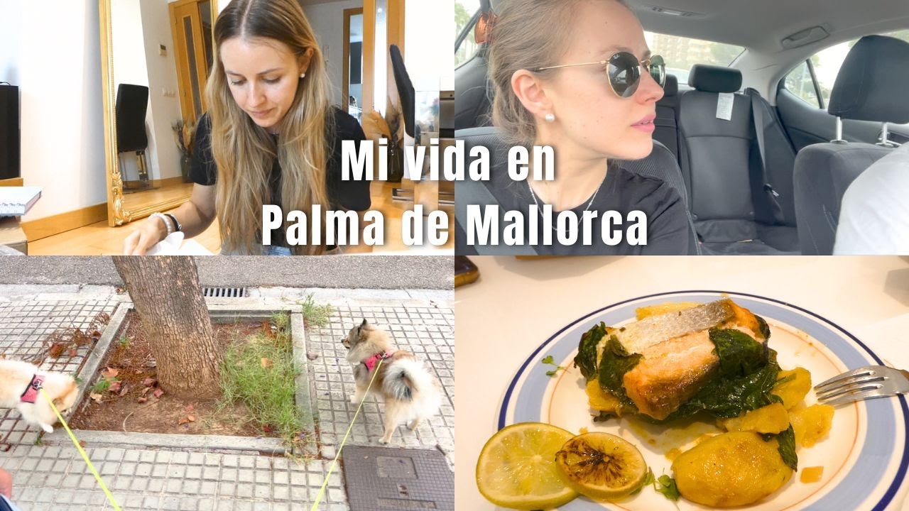 registro civil de palma de mallorca