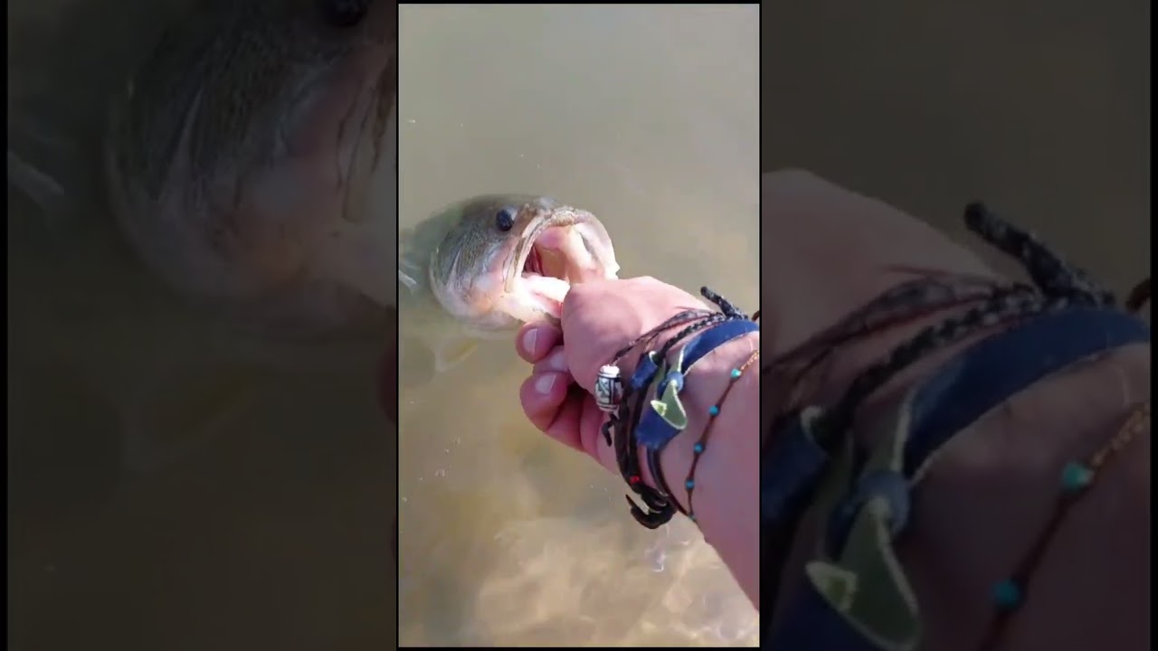 zona de pesca y baño beleña