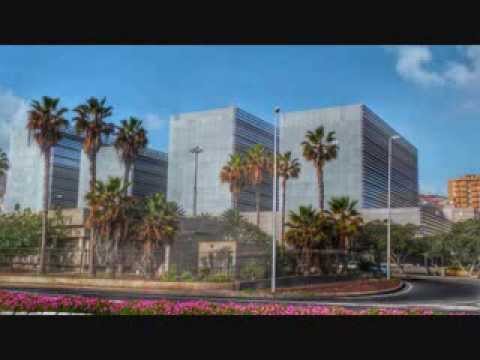 ciudad de la justicia las palmas
