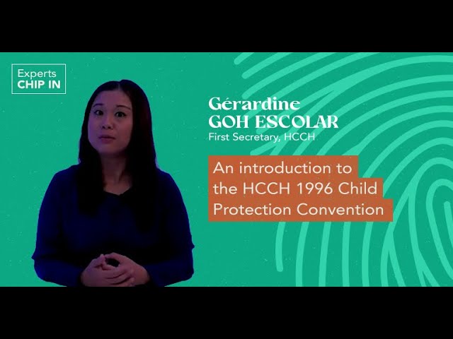 convenio de la haya de 1996