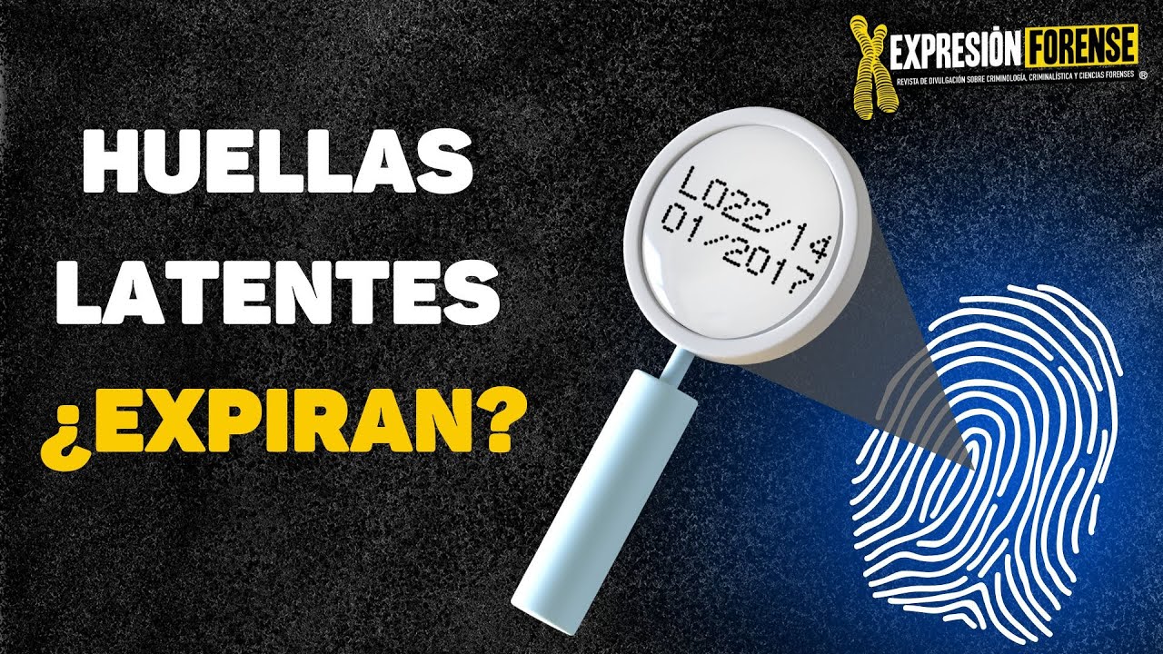 cuanto dura una huella dactilar en un objeto