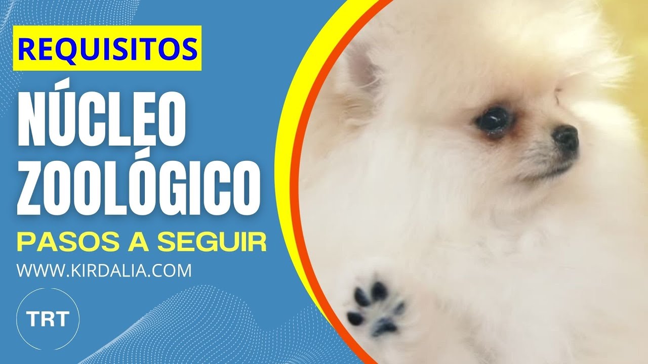 cuantos perros se pueden tener sin núcleo zoológico