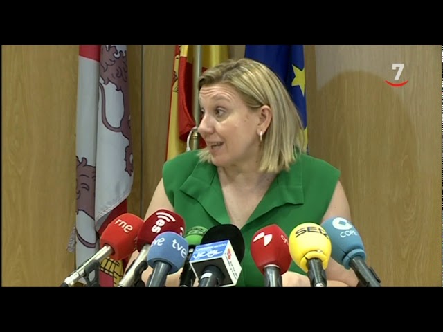 importe ayuda dependencia grado 3 castilla y león