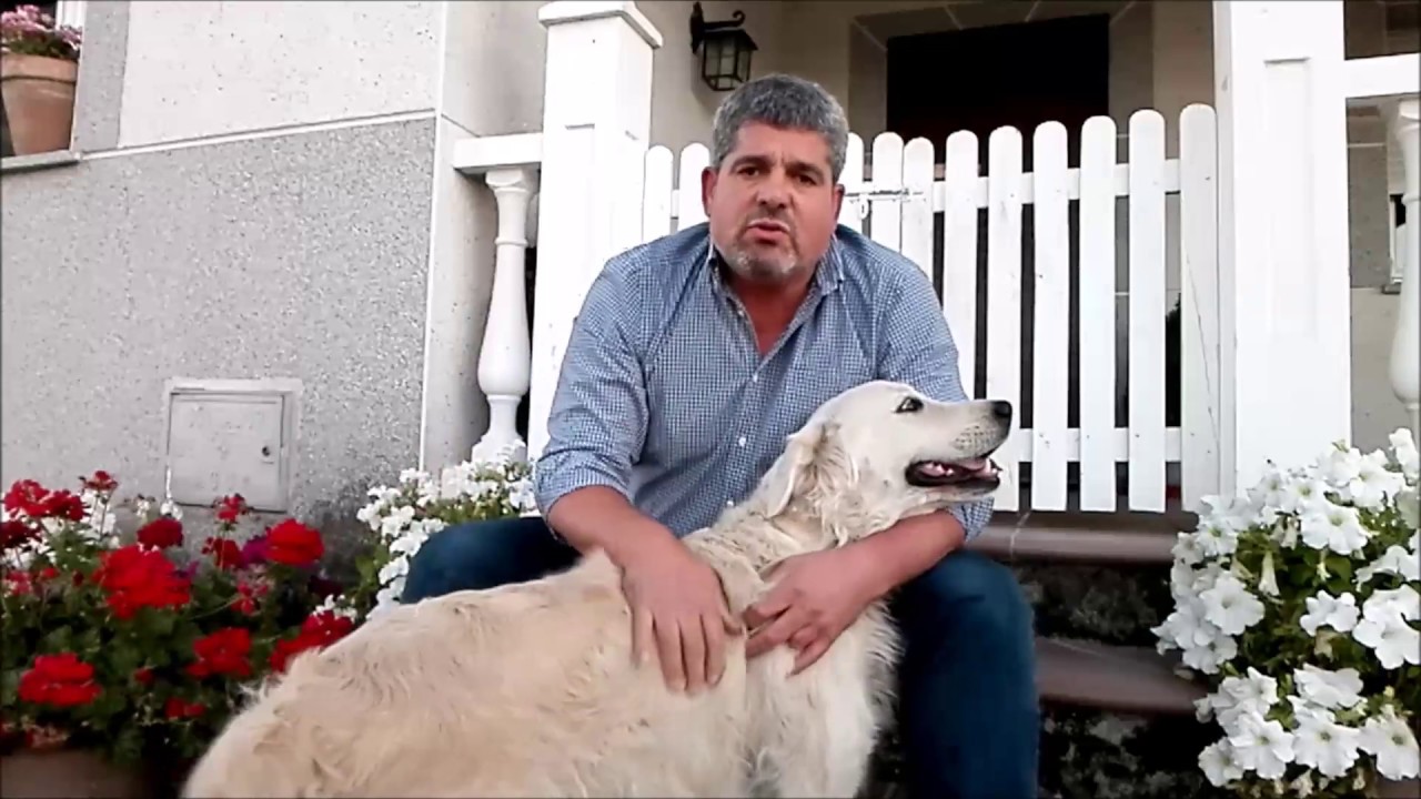 juzgado de primera instancia de marbella num 7