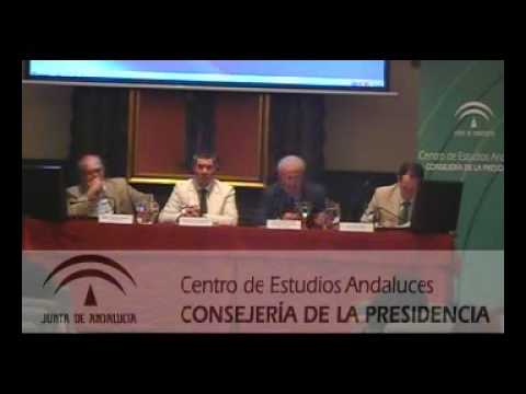 ley de autonomía local de andalucía