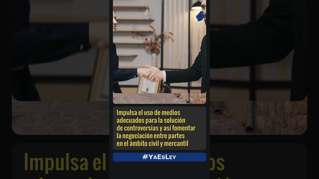 ley orgánica de eficiencia del servicio público de justicia