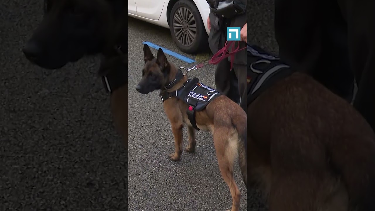 oficina de atención ciudadana de oviedo