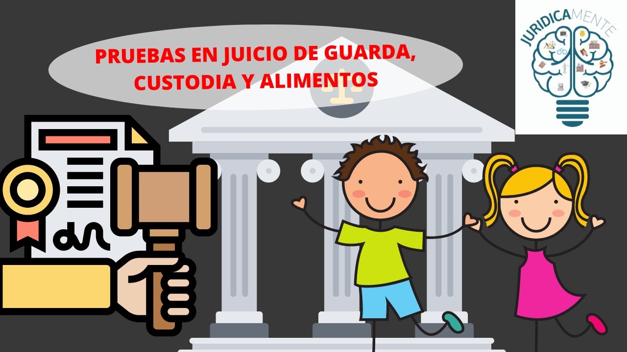 pruebas en un juicio de guarda y custodia