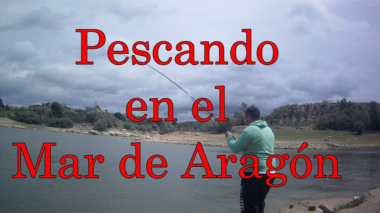 zonas de pesca libre en aragón