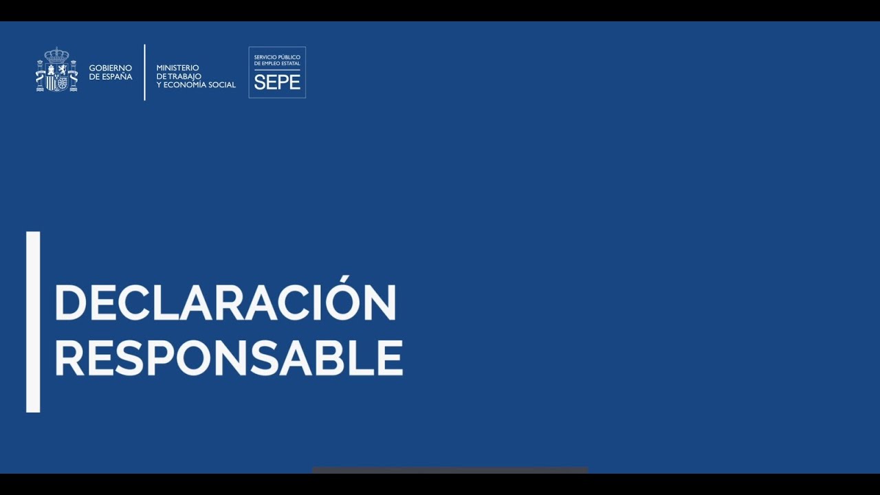 declaración responsable de ingresos y patrimonio