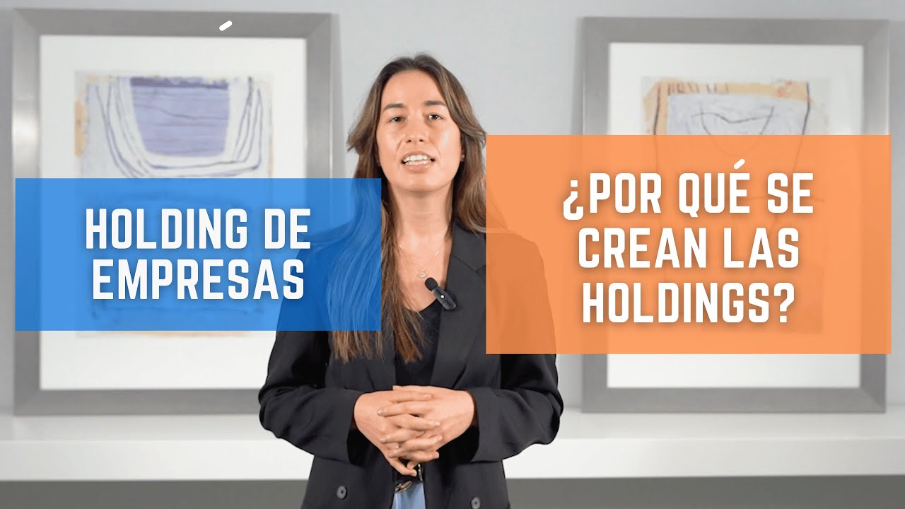 diferencia entre holding y grupo empresarial