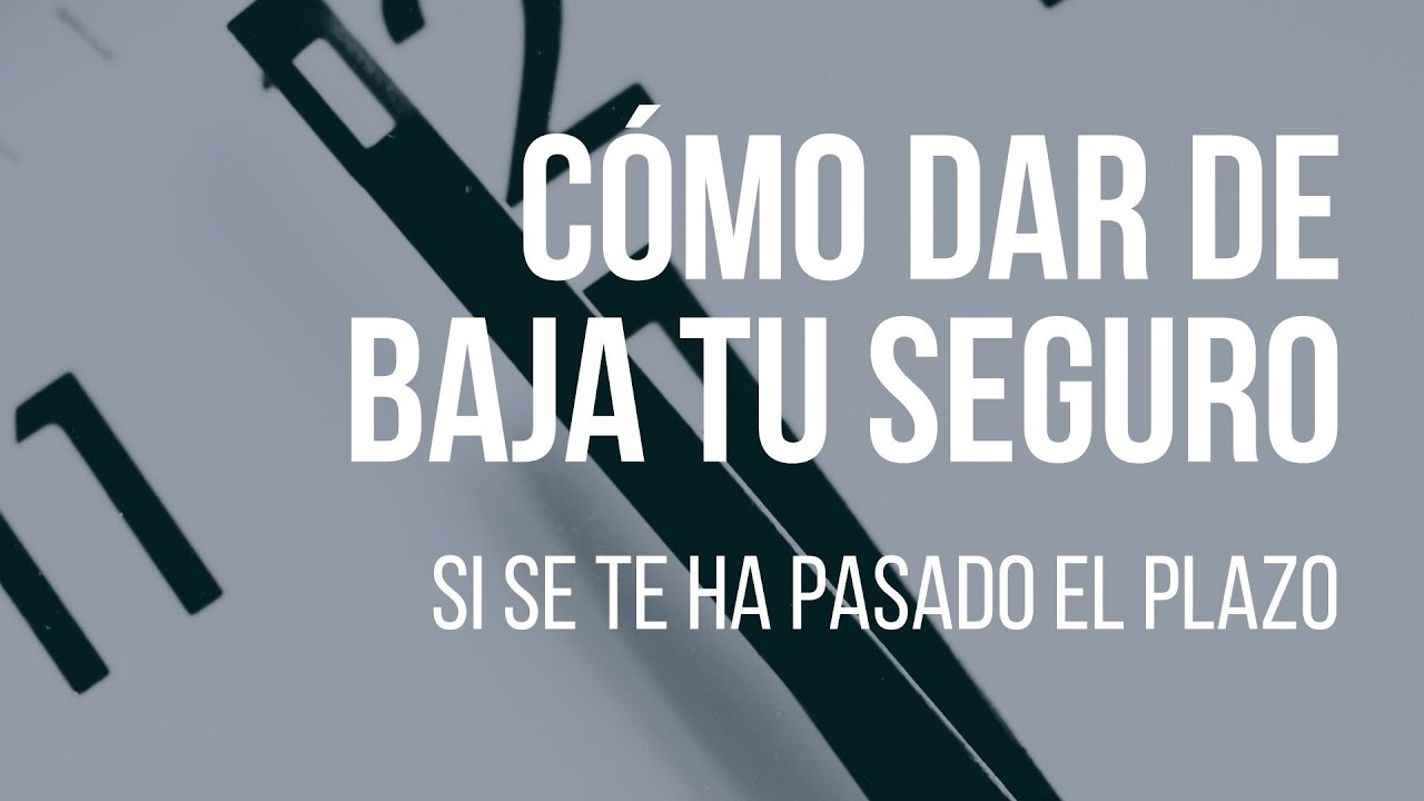 escrito para dar de baja un seguro fuera de plazo