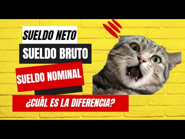 la base de cotizacion es el salario bruto