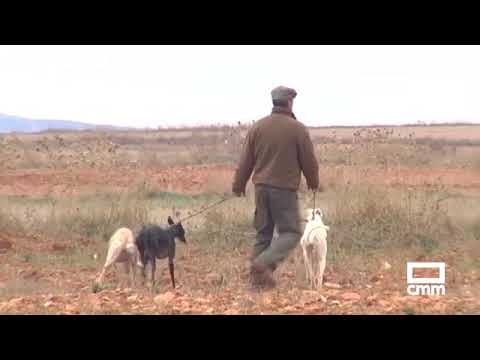 ley de caza de castilla la mancha