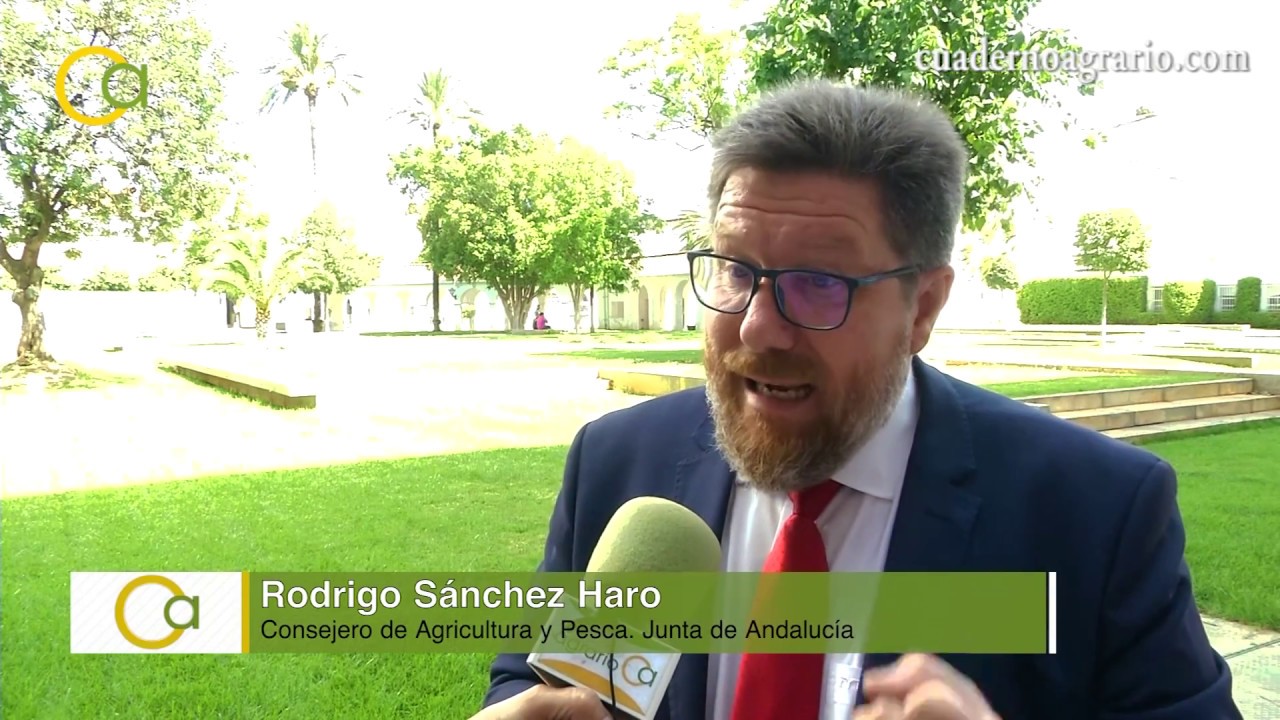 ley de modernización de las explotaciones agrarias