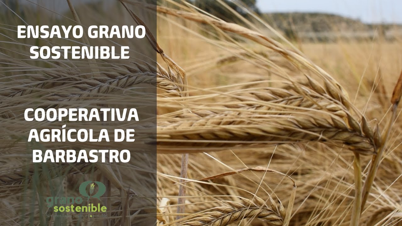 sociedad cooperativa limitada agrícola de barbastro