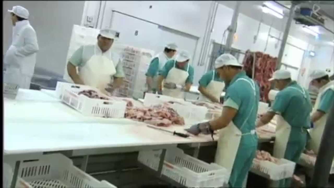 trabajo en jerez de los caballeros