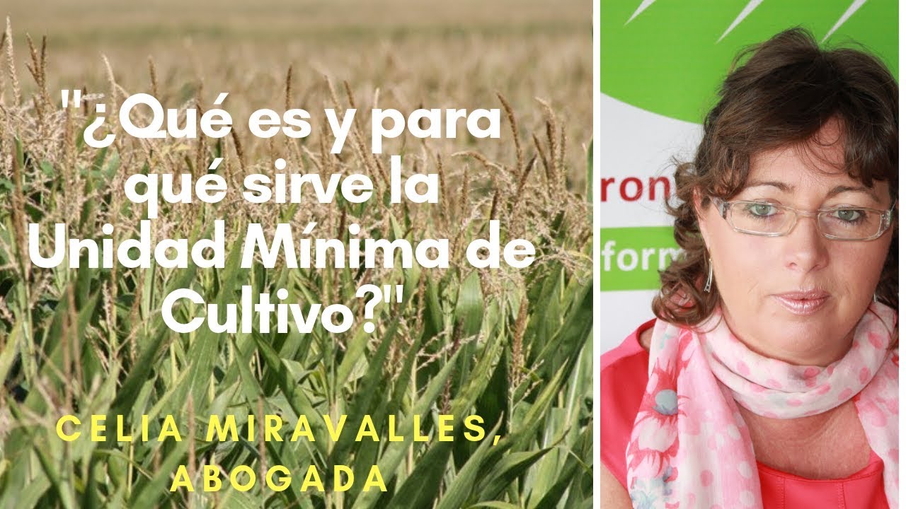 unidad minima de cultivo en andalucia