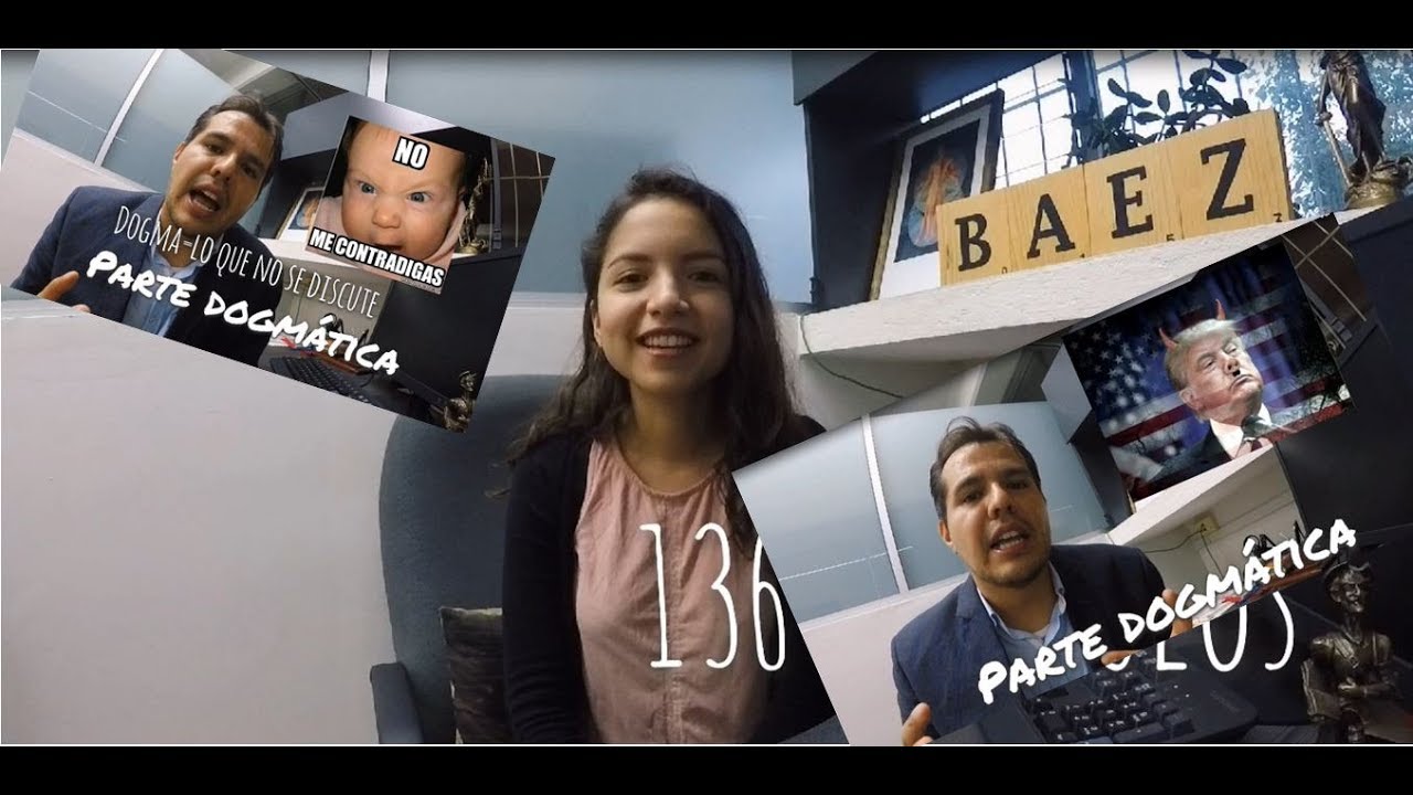 parte dogmatica y organica de la constitucion