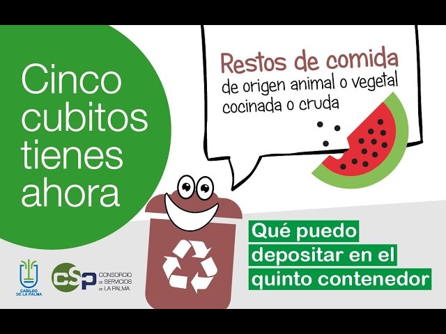 consorcio de servicios de la palma