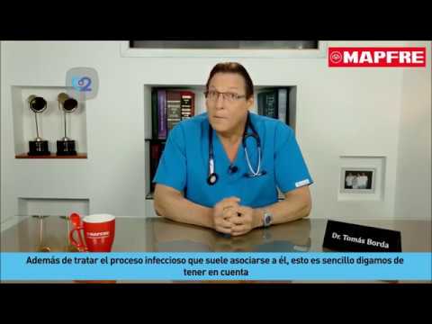que pasa si un perro muerde a una persona