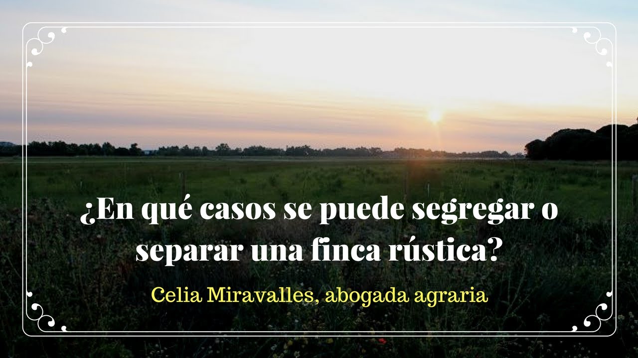 se puede dividir una parcela rústica